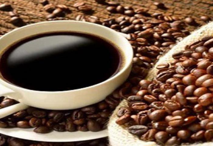 Perajin Kopi Luwak Butuhkan KUR Untuk Modal